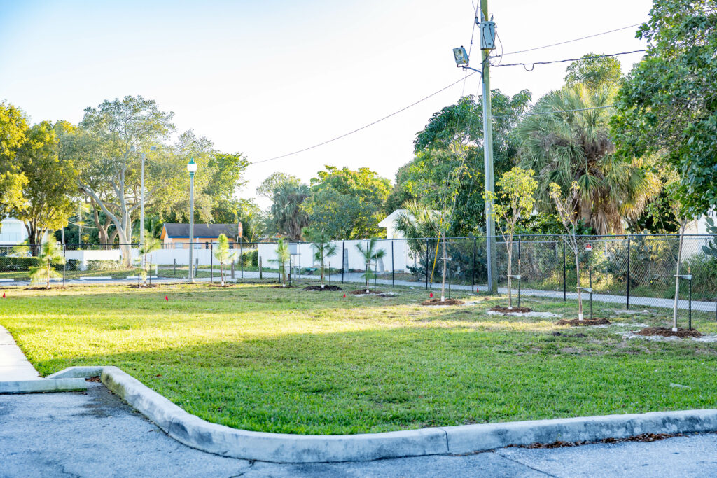 Trees planted by Community Greening at the Spady Museum 