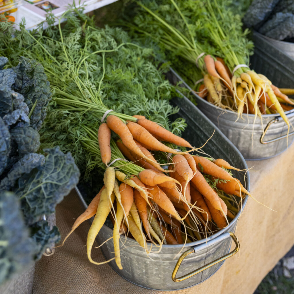 Fresh produce at the Delray Beach GreenMarket